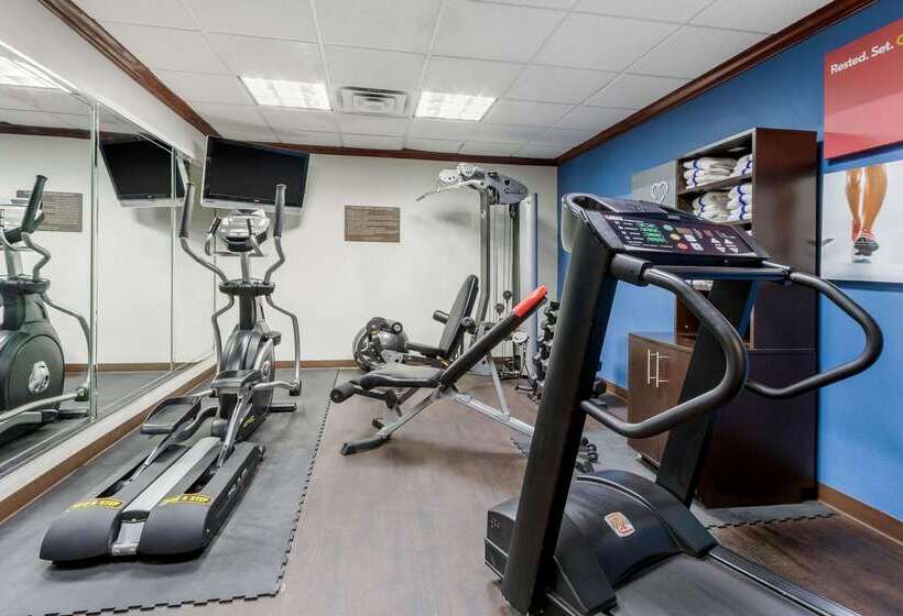 Отель Comfort Suites Central