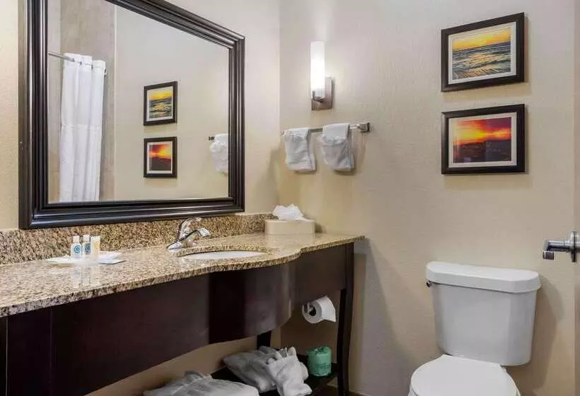 Отель Comfort Suites Central