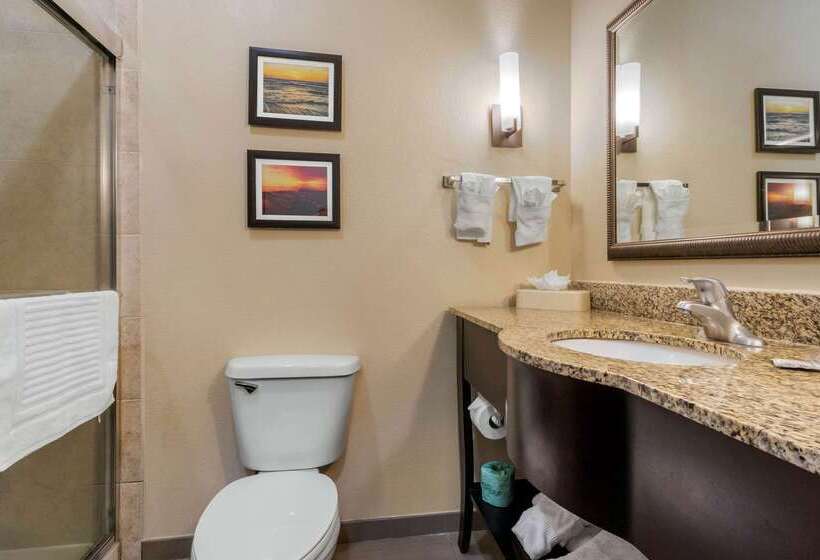 Отель Comfort Suites Central