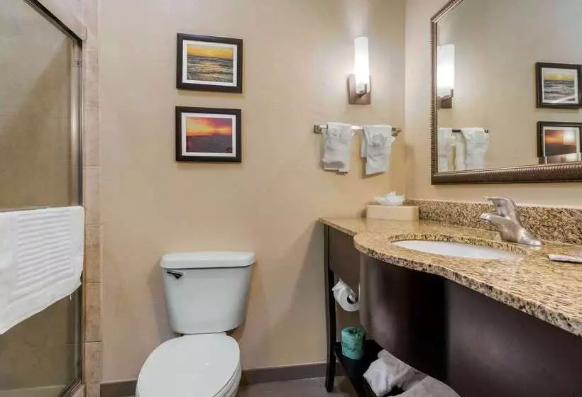 Отель Comfort Suites Central