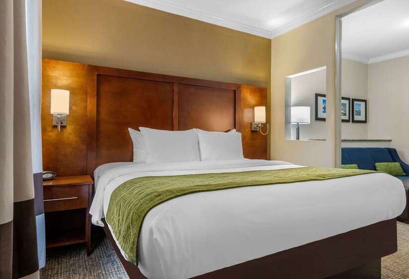 Отель Comfort Suites Central