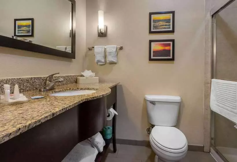 Отель Comfort Suites Central