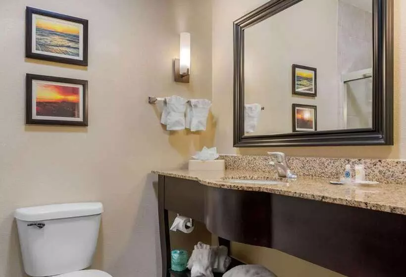 Отель Comfort Suites Central