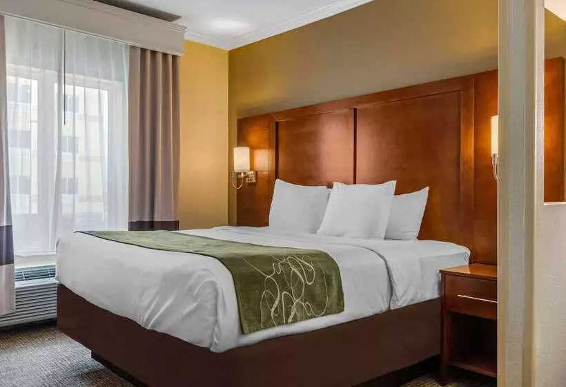 Отель Comfort Suites Central