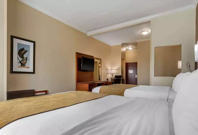 Отель Comfort Suites Central