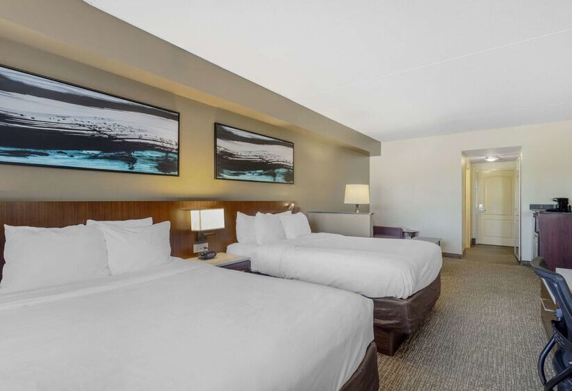 酒店 Comfort Suites East