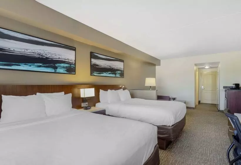 Отель Comfort Suites East