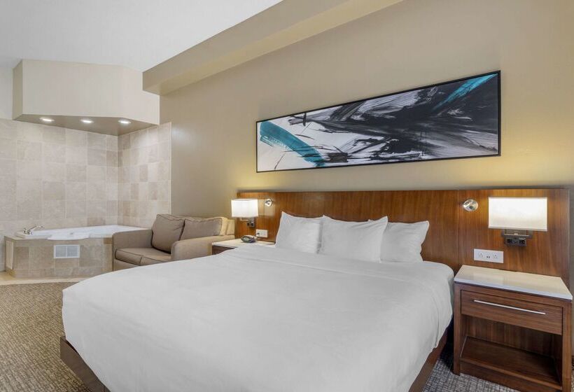 酒店 Comfort Suites East