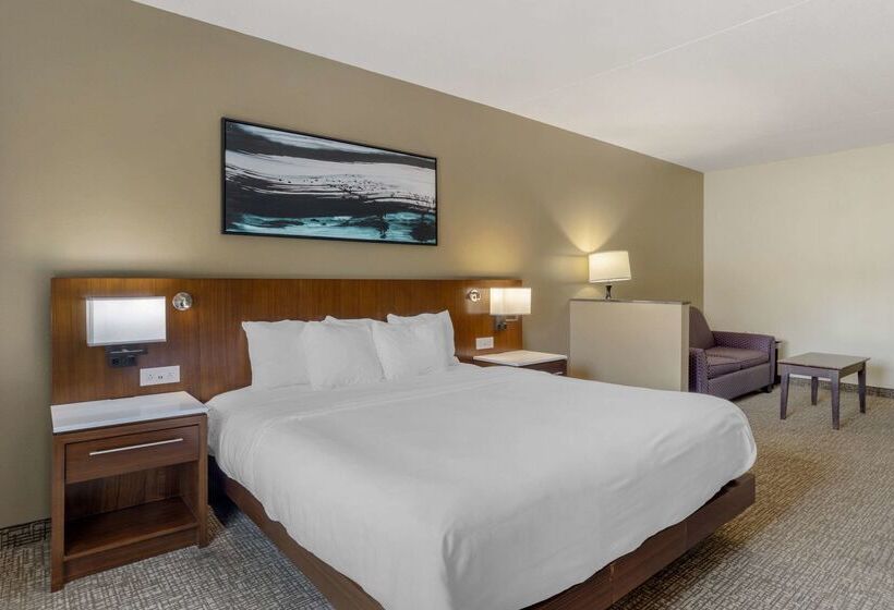 酒店 Comfort Suites East