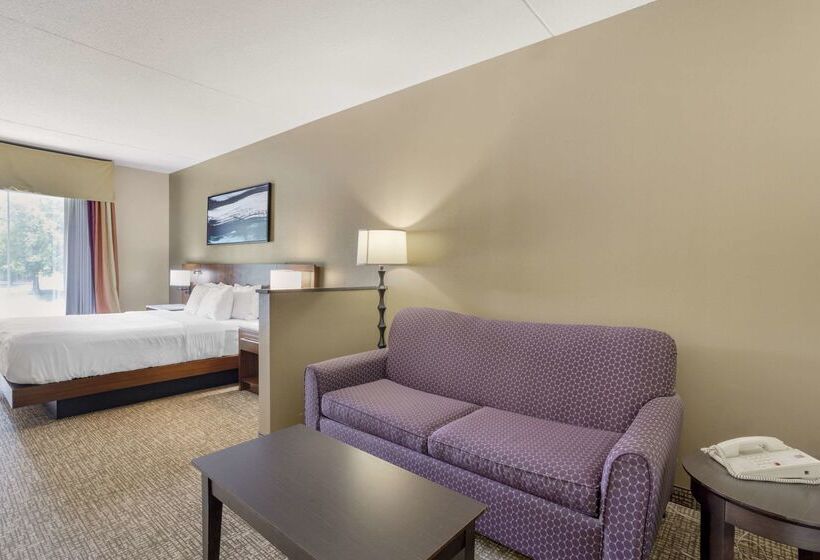 酒店 Comfort Suites East