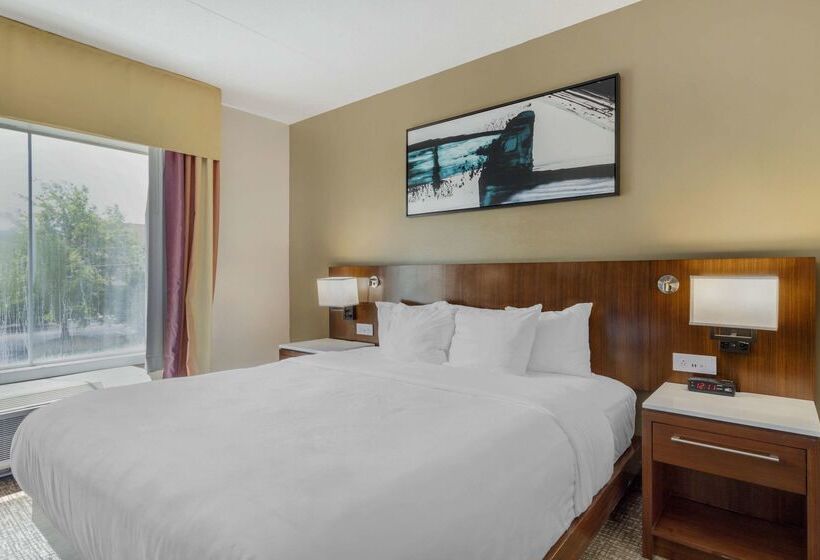 酒店 Comfort Suites East