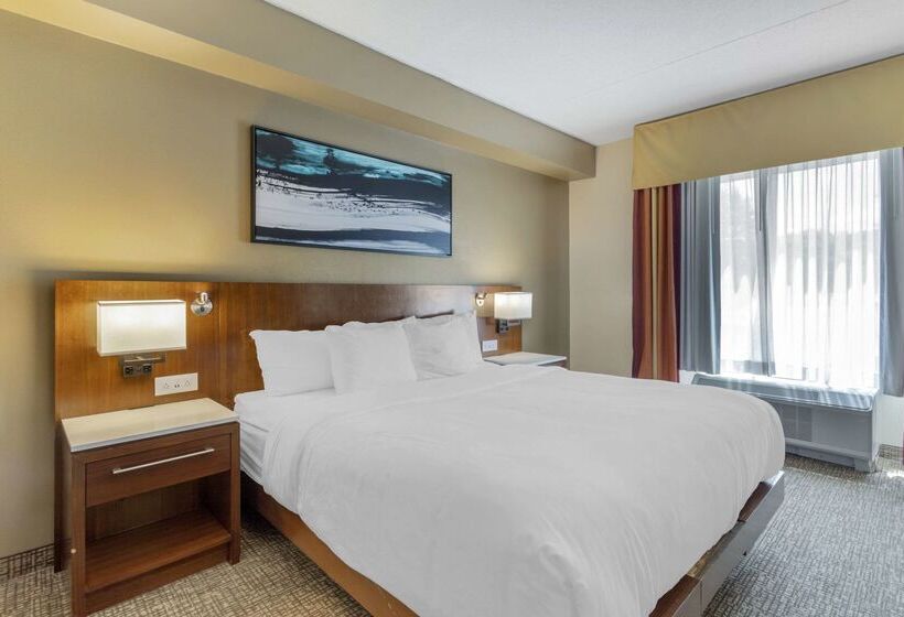 酒店 Comfort Suites East