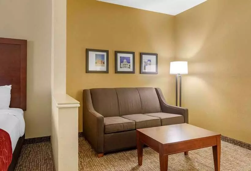 酒店 Comfort Suites Montgomery East Monticello Dr