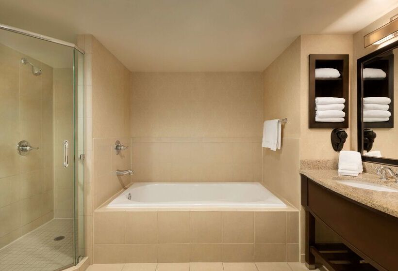 בית מלון כפרי Hilton Garden Inn Atlanta Downtown