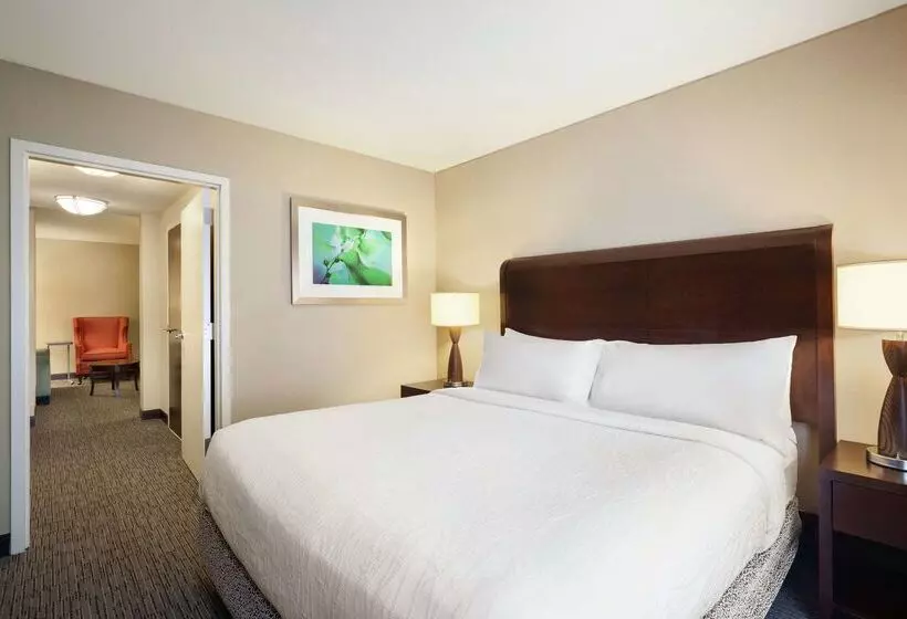 בית מלון כפרי Hilton Garden Inn Atlanta Downtown