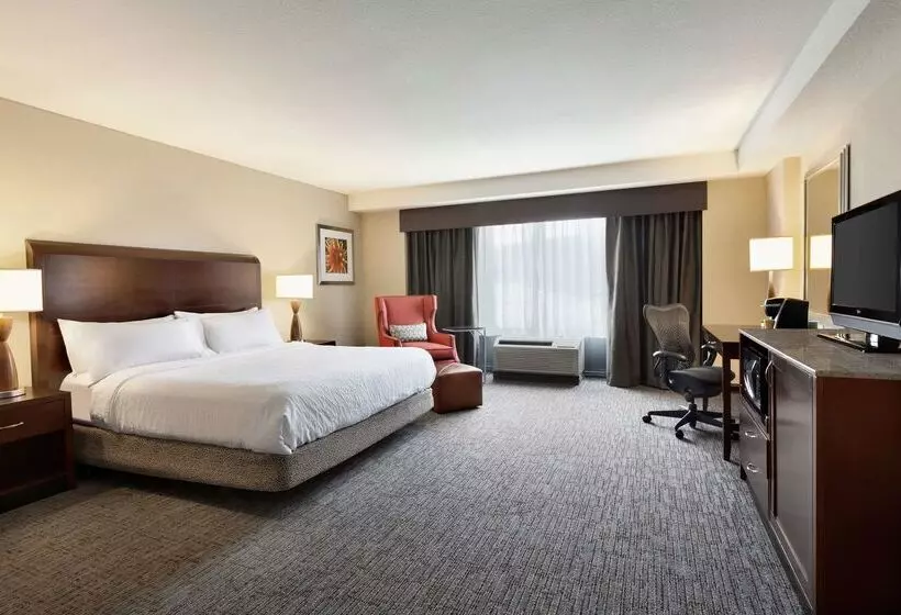 בית מלון כפרי Hilton Garden Inn Atlanta Downtown