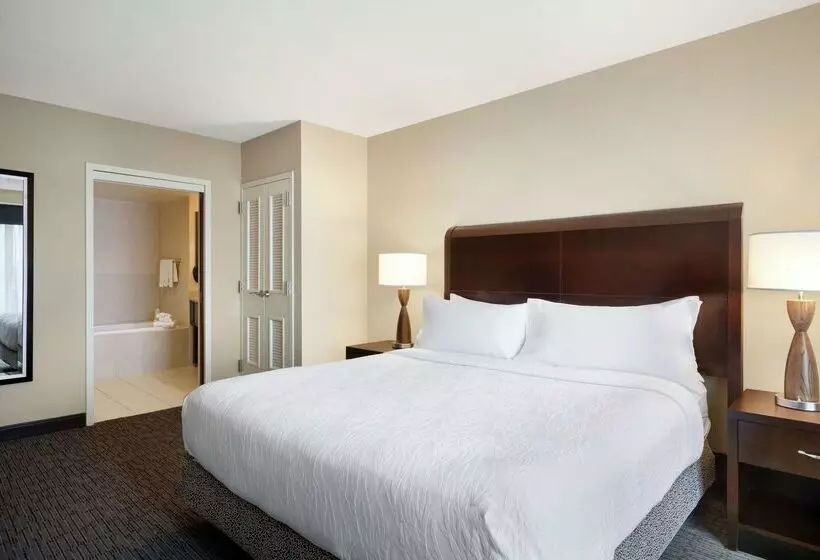 בית מלון כפרי Hilton Garden Inn Atlanta Downtown