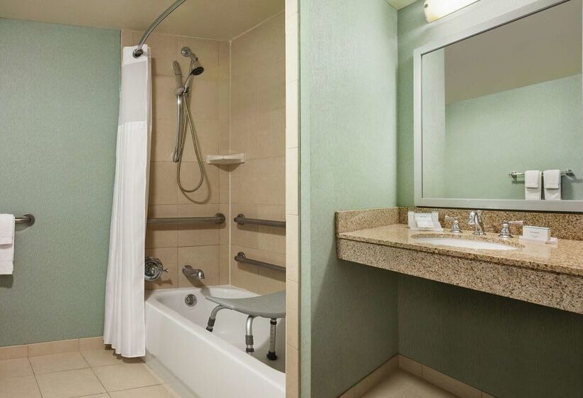 בית מלון כפרי Hilton Garden Inn Atlanta Downtown