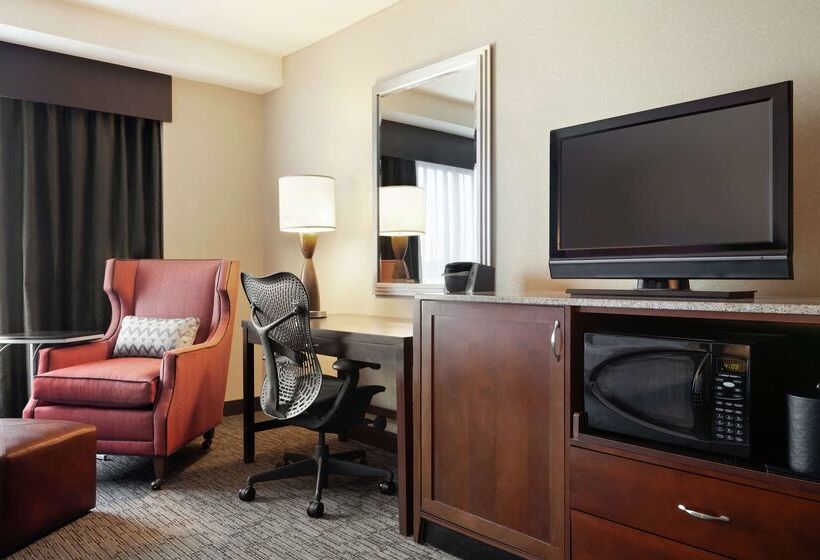 בית מלון כפרי Hilton Garden Inn Atlanta Downtown