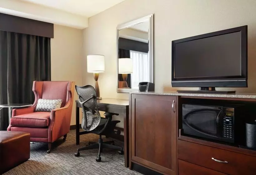 בית מלון כפרי Hilton Garden Inn Atlanta Downtown