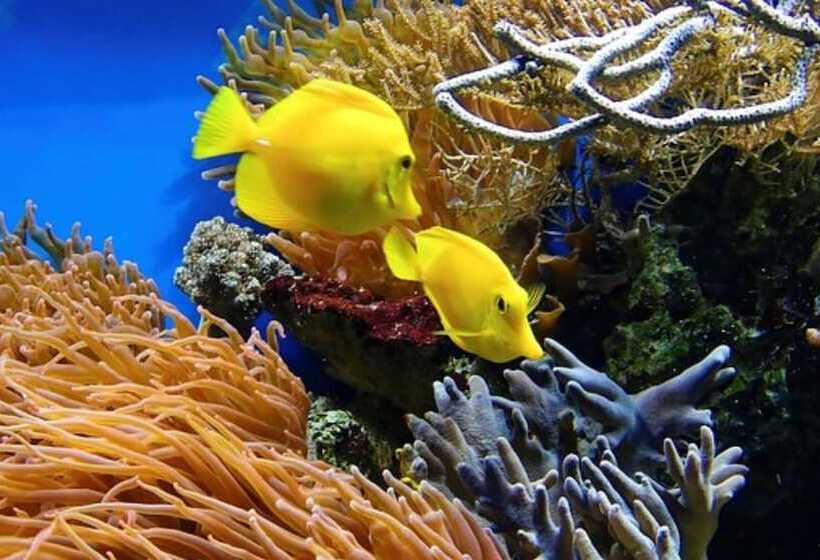 בית מלון כפרי Holiday Inn Express Cape Town City Centre, An Ihg