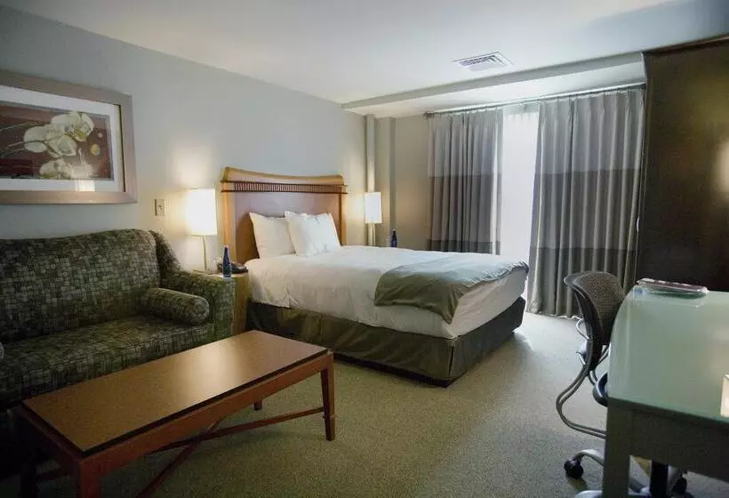 هتل Lancaster Arts