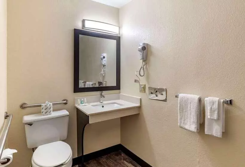 酒店 Quality Inn Duluth   Atlanta Northeast