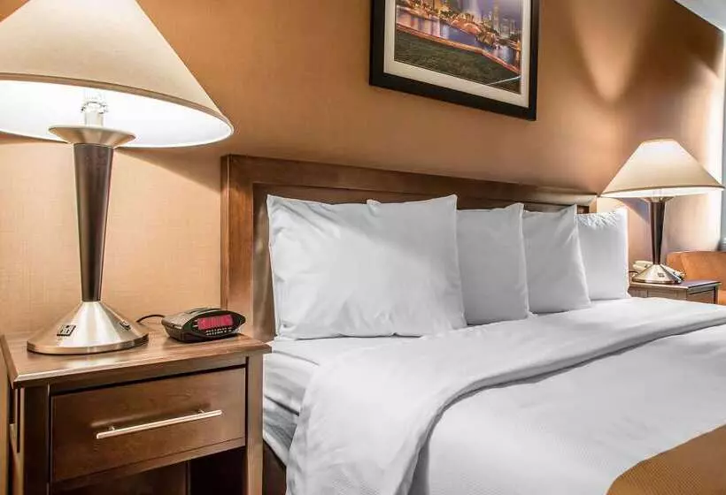 فندق Quality Inn Elgin I90