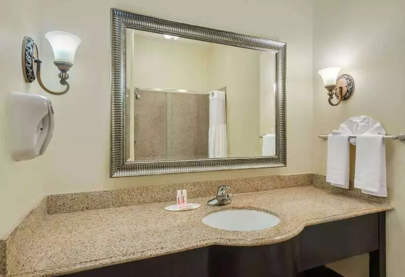 Hotelli Super 8 By Wyndham Hidalgo At La Plaza Mall & Mcallen Airport