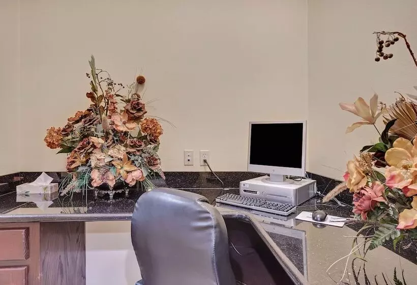 Hotelli Super 8 By Wyndham Hidalgo At La Plaza Mall & Mcallen Airport