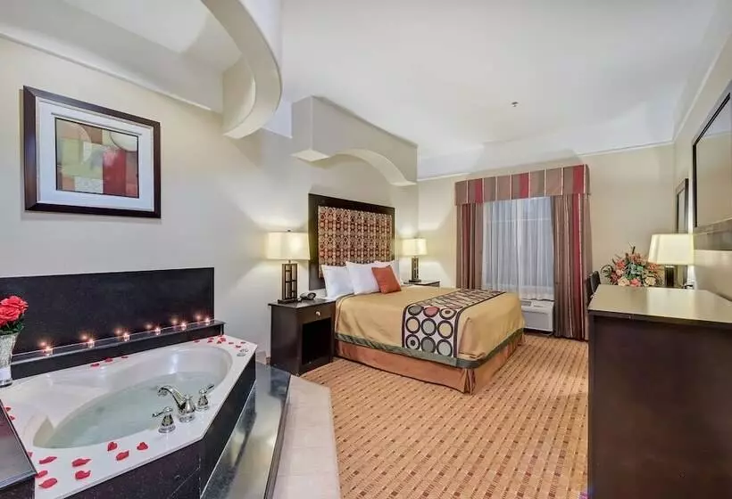 Hotelli Super 8 By Wyndham Hidalgo At La Plaza Mall & Mcallen Airport