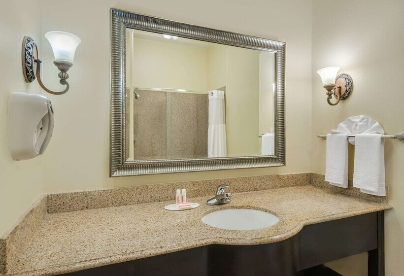 هتل Super 8 By Wyndham Hidalgo At La Plaza Mall & Mcallen Airport