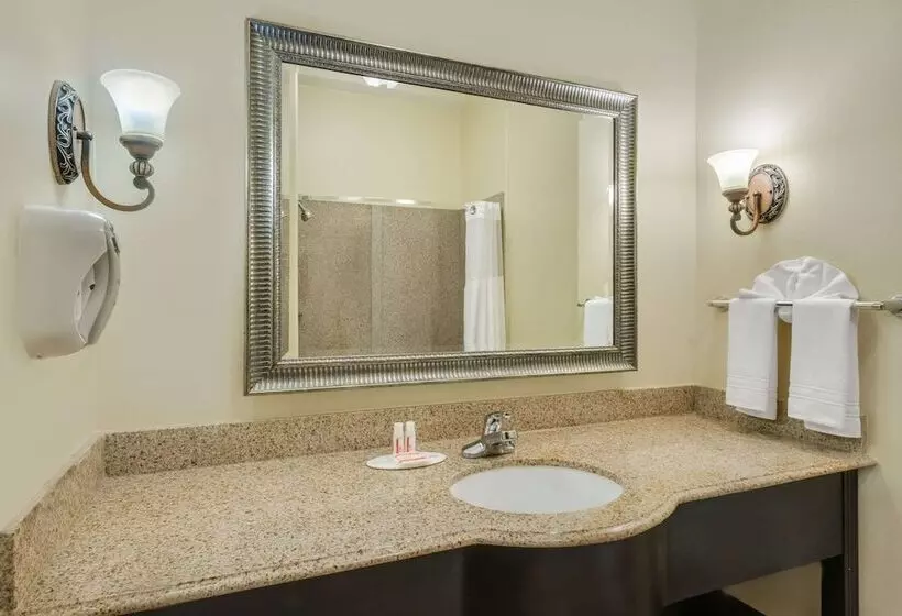 Hotelli Super 8 By Wyndham Hidalgo At La Plaza Mall & Mcallen Airport