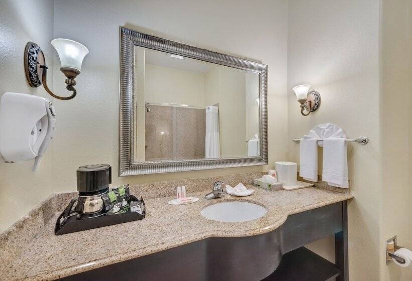 هتل Super 8 By Wyndham Hidalgo At La Plaza Mall & Mcallen Airport