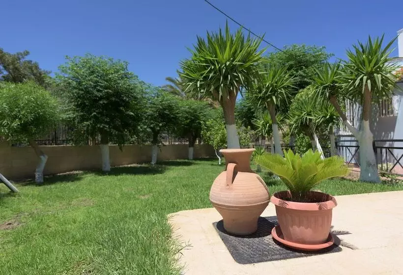 Vlycha Beach Studios & Apartments