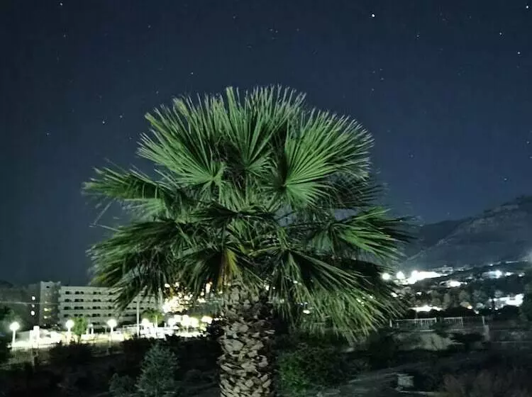 Vlycha Beach Studios & Apartments