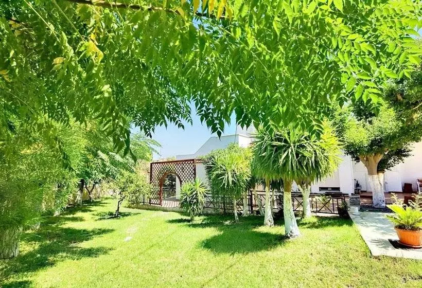 Vlycha Beach Studios & Apartments