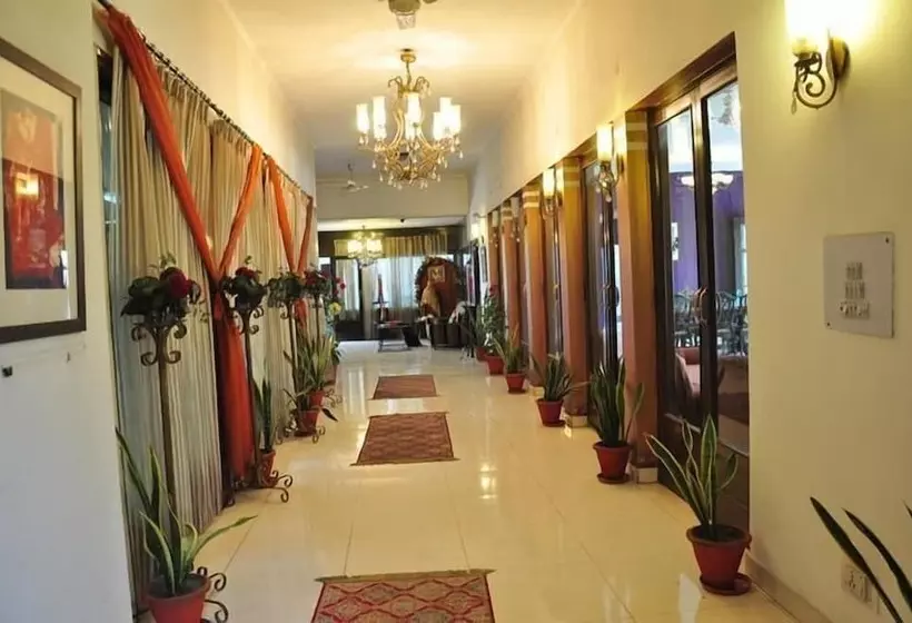 צימר Fabexpress Pulse Impulse