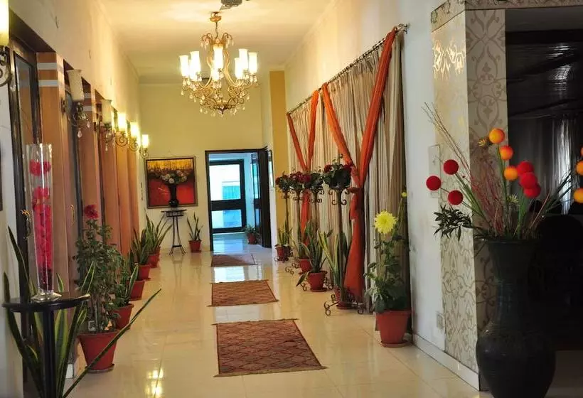 צימר Fabexpress Pulse Impulse