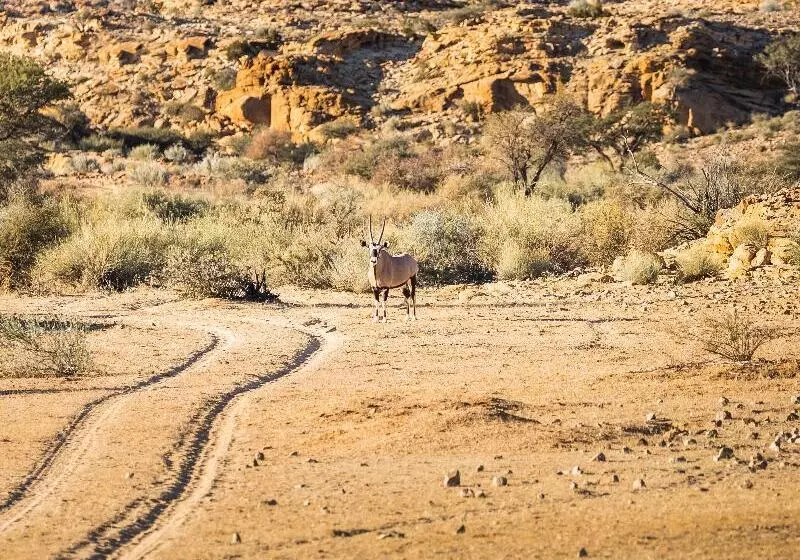 هتل Gondwana Canyon Village