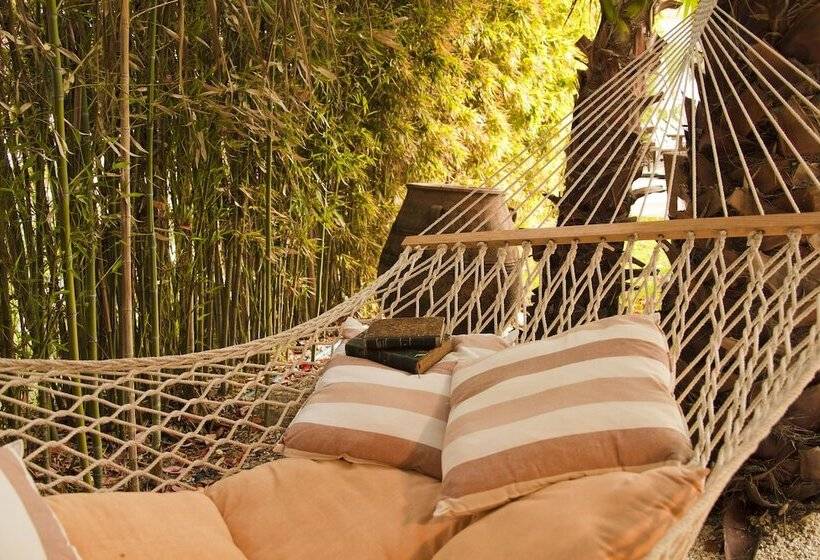 Corfu Mare Hotel  Adults Only