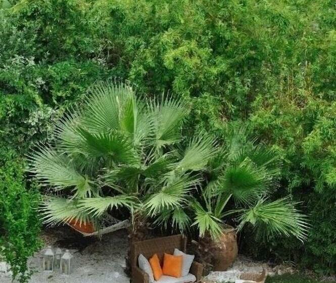 Corfu Mare Hotel  Adults Only