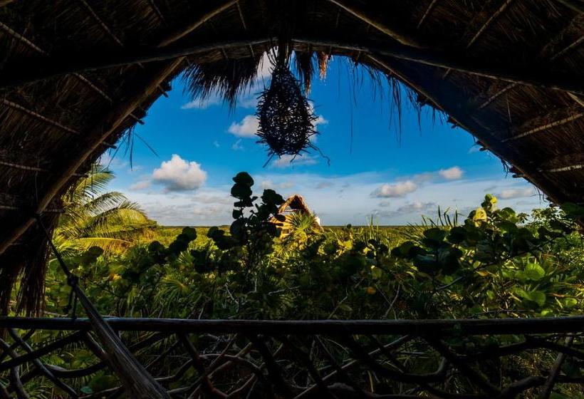 فندق I Scream House