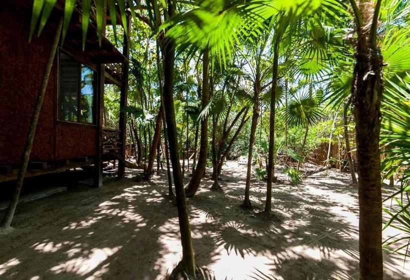 فندق I Scream House