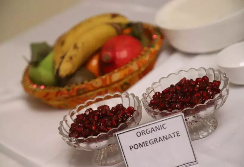 בית מלון כפרי Residency Palace