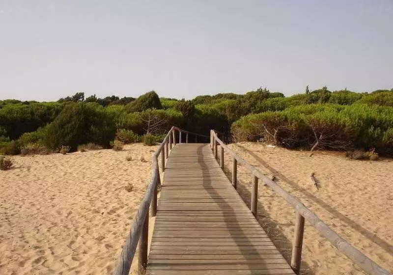 Leo Deluxe Punta Umbría