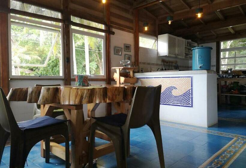 Bed & Breakfast Cafe Del Mar Sapzurro