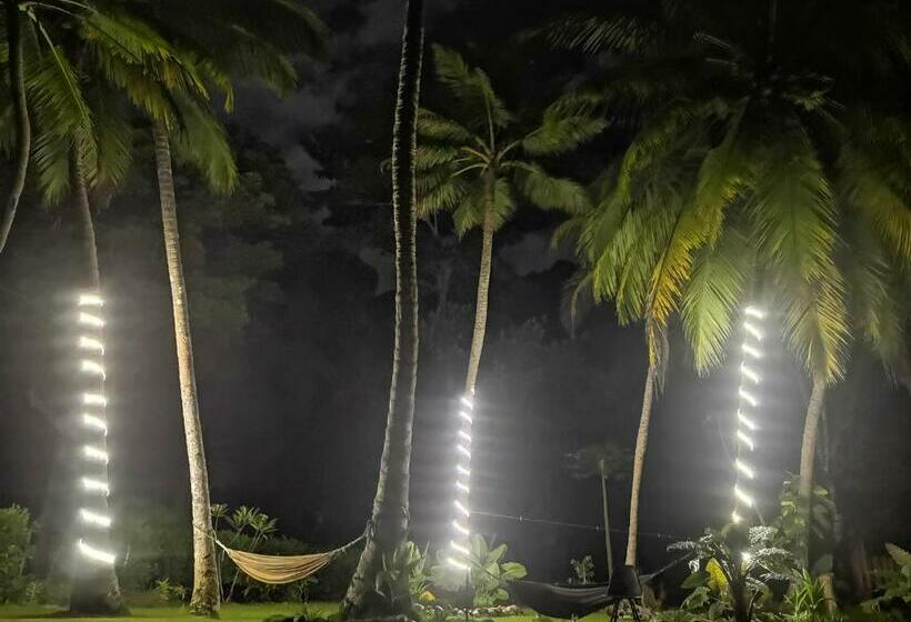 Bed & Breakfast Cafe Del Mar Sapzurro