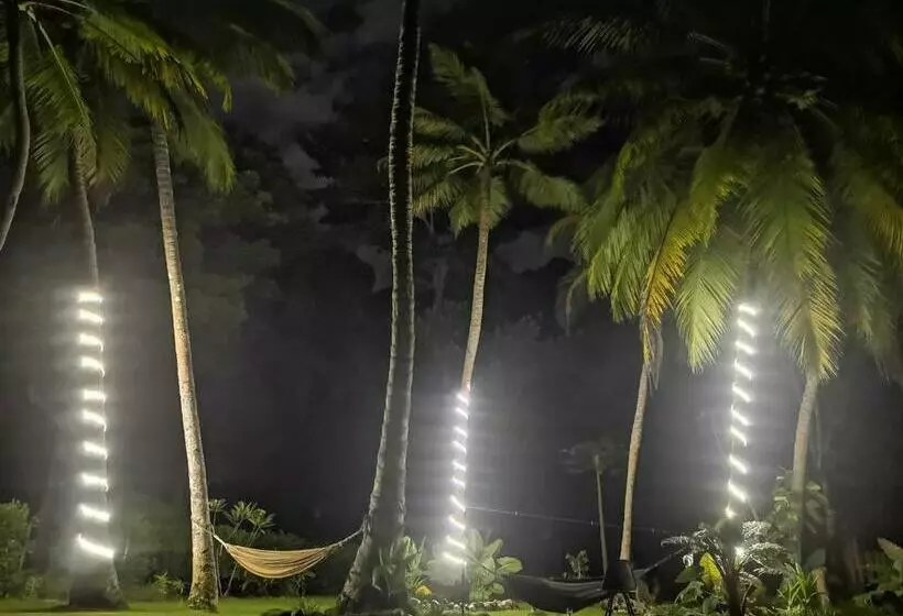 ベッドアンドブレックファースト Cafe Del Mar Sapzurro