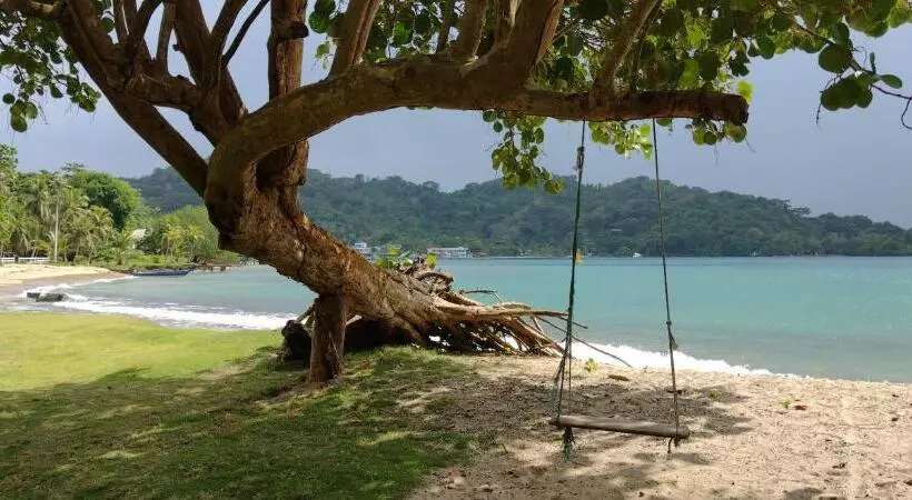 ベッドアンドブレックファースト Cafe Del Mar Sapzurro